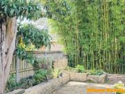 Charming House at heart of Chatswood