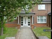 Just in! Studio flat for rent in Wellfield Road,...