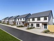 Deal! The Puffin, Hawks Bay, Wicklow Town, Wicklow