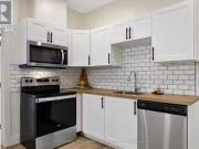 Nice Unit 3 304 Lincoln Road, Windsor, ON, N8Y 2G4 investm.