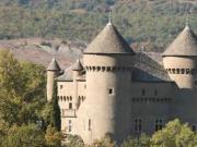 Château 20 pièces 500 m²