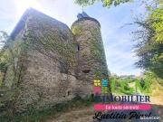 Château 9 pièces 294 m²