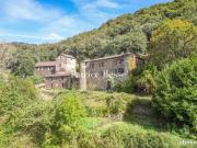 Château 9 pièces 330 m²