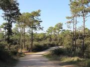 Château d'Olonne 85180 Programme neuf terrain neuf à...