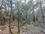 Châteaudouble 83300 Achat / Vente terrain Châteaudouble 83300 Achat / Vente terrain