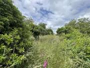 Châteauneuf sur Cher 18190 Achat / Vente maison 2 pièces t2