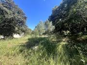 Châteaurenard 13160 Achat / Vente terrain