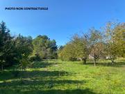 Châteaurenard Vente Terrain 13