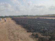 Chaturbhuja Varaha Virtue 146 Sq. Yd. Plot in Pamarru...