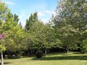 Chaumes en Brie Vente Terrain 77