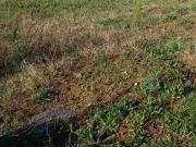 Chaumes en Retz 44320 Programme neuf terrain neuf à vendre