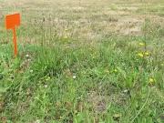 Chaumes en Retz 44320 Programme neuf terrain neuf à vendre