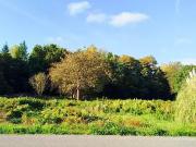 Chauvigné 35490 Achat / Vente terrain