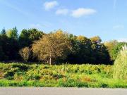 Chauvigne Bretagne 35490 LS95542464