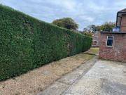 Chawton Park Road, Alton, GU34 1RQ