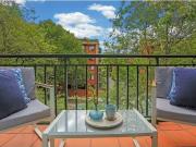 Cozy 127/362 Mitchell Road, ALEXANDRIA Apartment for...