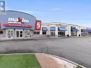 Nice 13039 Tecumseh Road East, Tecumseh, ON, N8N 3T4...