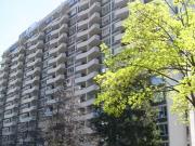 Rental! 1 BA 1 Bedroom The Continental, Toronto