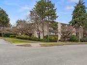 Just in! 1 Bedroom 1 Bathroom Brunswick Apartments