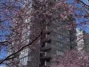 Cheap 1 Bedroom Villa Comox