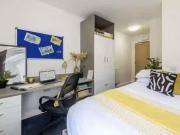 Cheap 1 BR Large Gold Studio