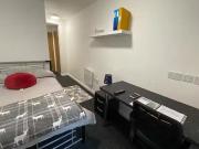 Unique 1 BR Regent Road Standard Studio