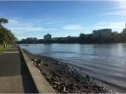 For Rent! 25 Bouquet St, SOUTH BRISBANE Apartment for...