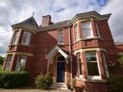 Cozy 2 BA 2 bedroom apartment for rent in St Leonards,...