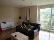 Just in! 55 Fortwilliam Grange