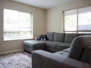 Nice 57717373 11665 Haney Bypass