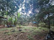 CHEAP AGRI LOT 4.2has in Antipolo