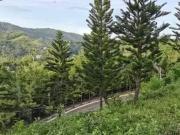 CHEAPEST RESIDENTIAL LOT IN CEBU CITY