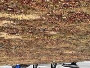 Chelton Ave, Long Branch, Plot For Sale