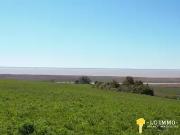 Chenac Saint Seurin d'Uzet 17120 Achat / Vente...