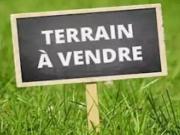 Chepy 51240 Achat / Vente terrain
