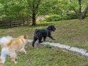 Cherokee Apartments 3 Bedroom Apartment for Rent at 7715...