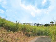 Chestnut Street, Eastland Heights, Phase 1, Antipolo...