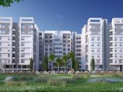 Chikhali 1 RK Apartment For Sale Pune