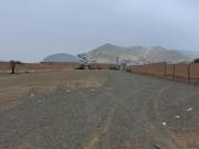 Chilca papaleon alquiler de terreno industrial cerca a...