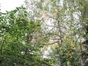 Chill Out Area Reinprechtsdorf, Vienna Amsterdam...