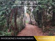 Chillán, Los Pellines, Camino a las termas de Chillan