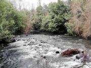 Chillán, Se venden parcelas en chillan 60486