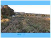 CHILOE / CHONCHI / RAUCO