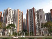 DTC Capital City Crest,Chinar Park 3 BHK Apartment For...