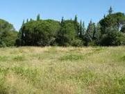 Chinon 37500 Programme neuf terrain neuf à vendre