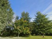 Chinon Vente Terrain 37