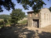 Chiusdino Immersa nell'Alta Val di Merse, a breve...