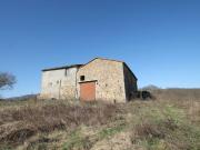 Chiusdino Immersa nell'Alta Val di Merse, a breve...