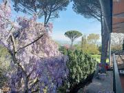 Chiusi – Cod. Villa Wisteria 277m² Chiusi