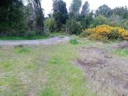 Chonchi, Nalhuitad se vende 1 hectárea colindante con...